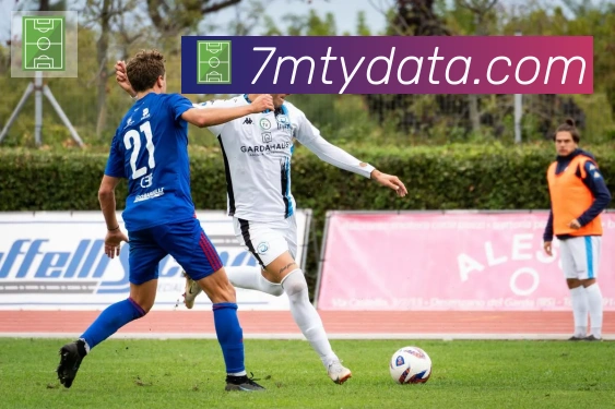 平台展示图